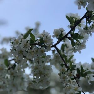 Meet your Posher, Esther